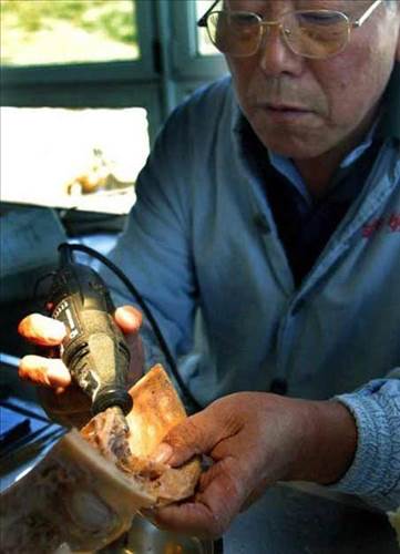 Plastinasyon vücutlar nasıl hazırlanıyor?