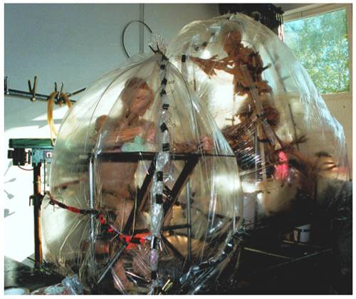 Plastinasyon vücutlar nasıl hazırlanıyor?