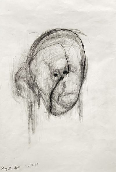 Alzheimer hastası ressamın hastalığı süresince çalışmaları