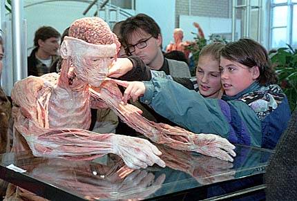 Plastinasyon vücutlar nasıl hazırlanıyor?