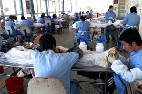 Plastinasyon vücutlar nasıl hazırlanıyor?