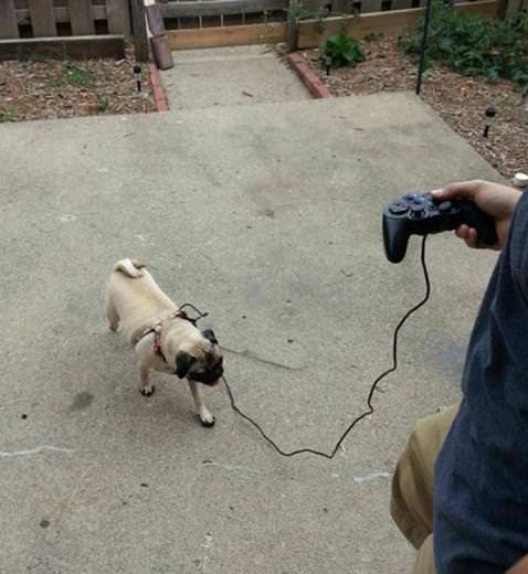 Teknolojiyi yanlış anladılar