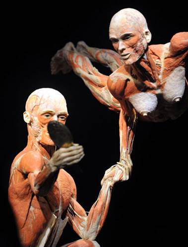 Plastinasyon vücutlar nasıl hazırlanıyor?