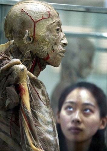 Plastinasyon vücutlar nasıl hazırlanıyor?