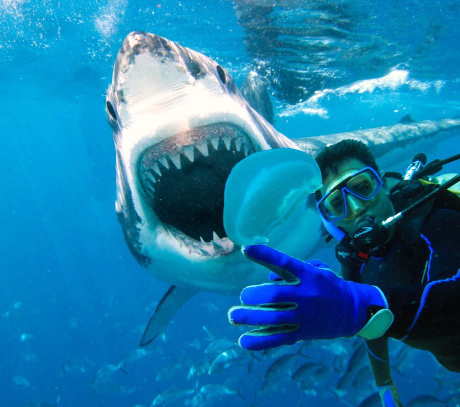 Hem güzel hem ilginç