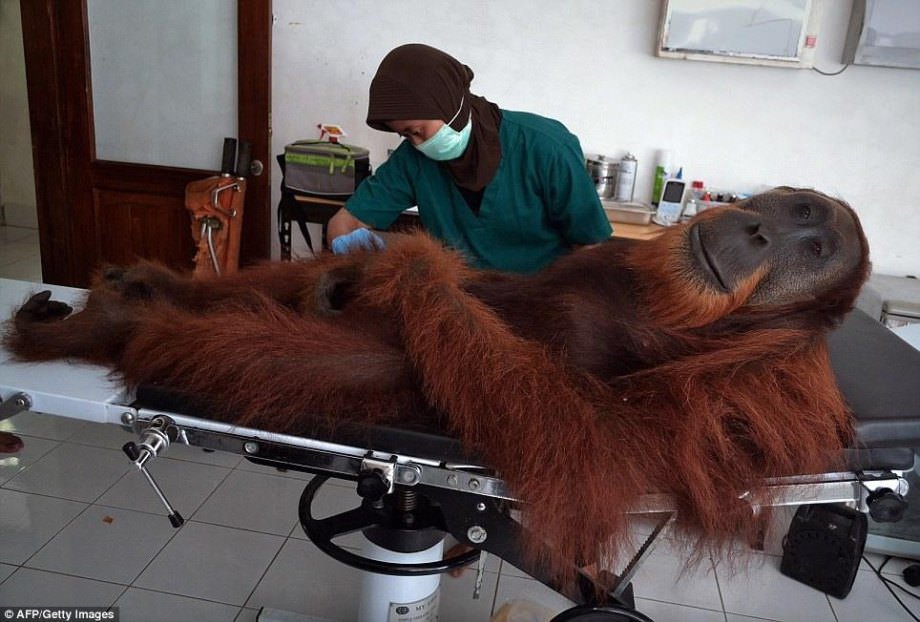 Hem güzel hem ilginç