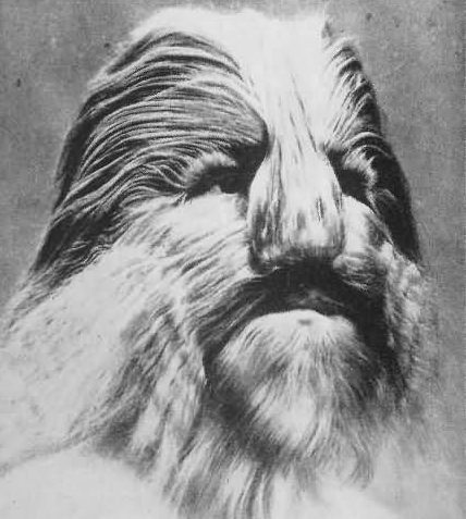 Eşine az rastlanan hastalıklar