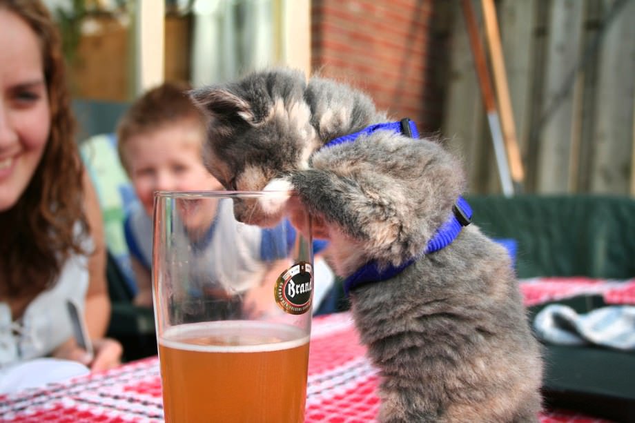 Hem güzel hem ilginç