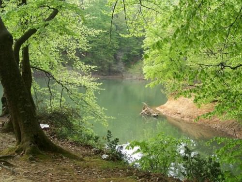 İstanbul'un en iyi piknik yerleri