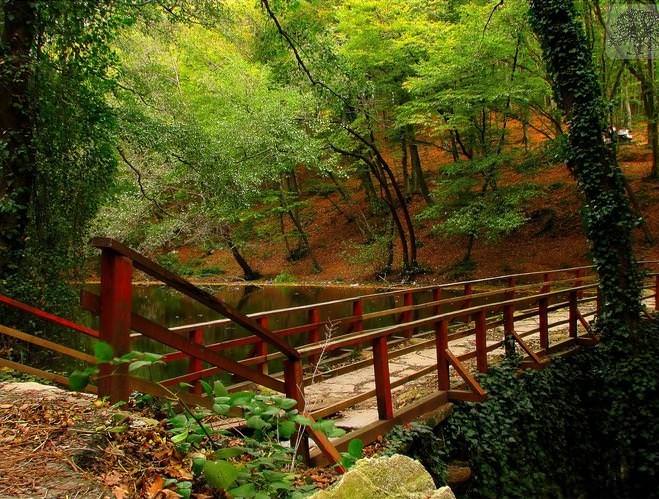 İstanbul'un en iyi piknik yerleri