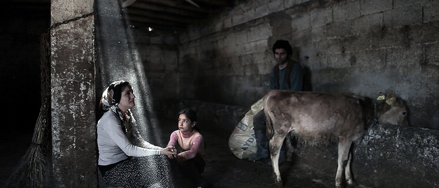 Bu hafta vizyona giren filmler