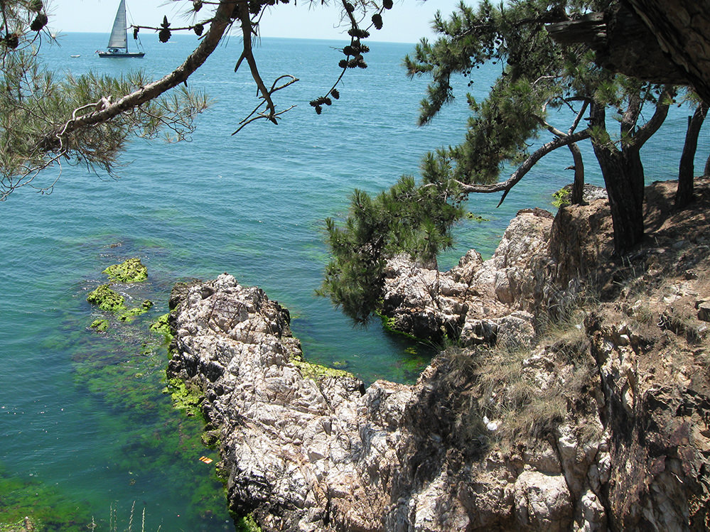 İstanbul'un en iyi piknik yerleri