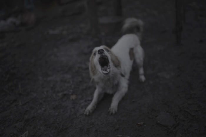 Korku filmi gibi köy