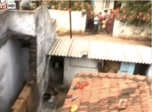 Leoparın orada ne işi var?