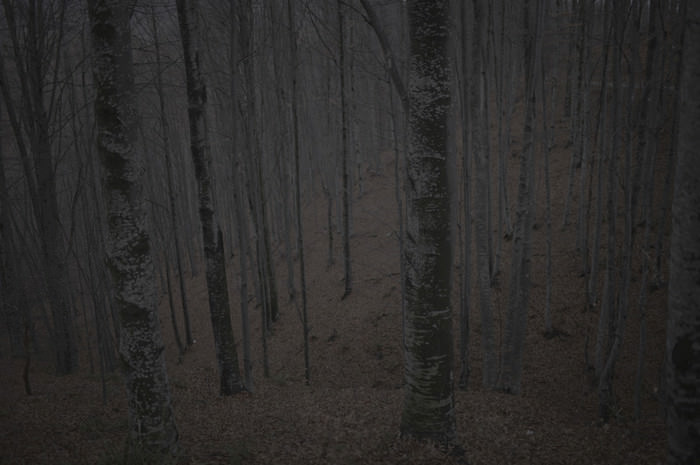 Korku filmi gibi köy