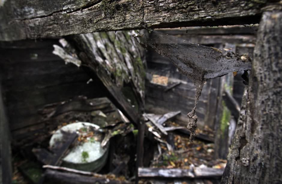 Korku filmi gibi köy