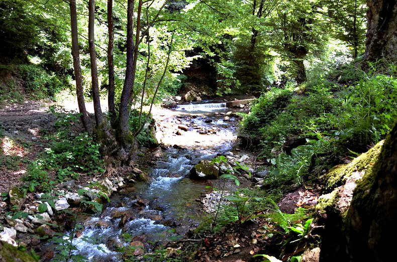 İstanbul'un en iyi piknik yerleri