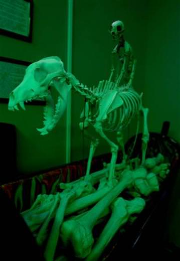 Moskova'da ölüm müzesi!