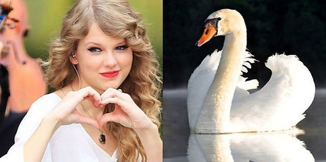 Ünlüler kuş olsalar