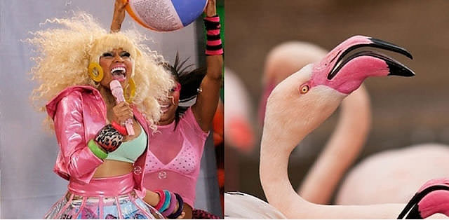 Ünlüler kuş olsalar