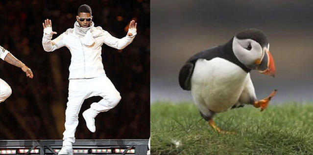 Ünlüler kuş olsalar