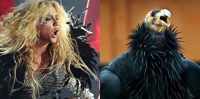 Ünlüler kuş olsalar