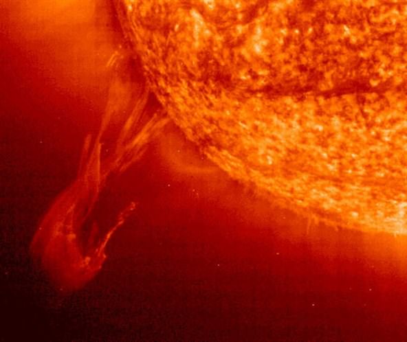 Hayata dair ilginç bilgiler