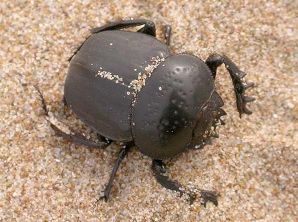 Hayata dair ilginç bilgiler