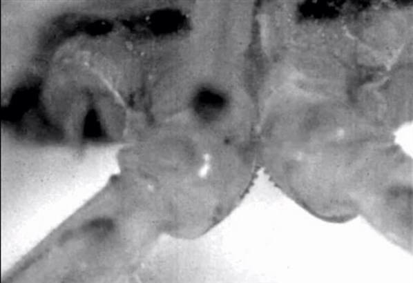 Hayata dair ilginç bilgiler