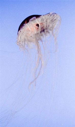 Hayata dair ilginç bilgiler