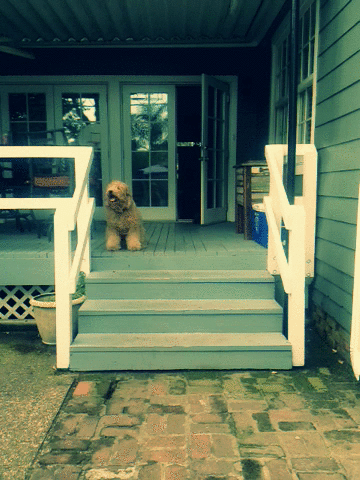 Bu Gifler hipnotize ediyor