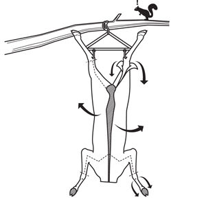 Bir erkeğin mutlaka olması gereken 15 yeteneği