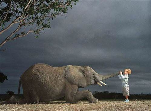 2013'ün en ilginç fotoğrafları