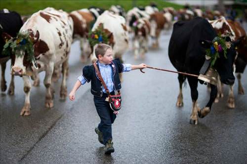 2013'ün en ilginç fotoğrafları