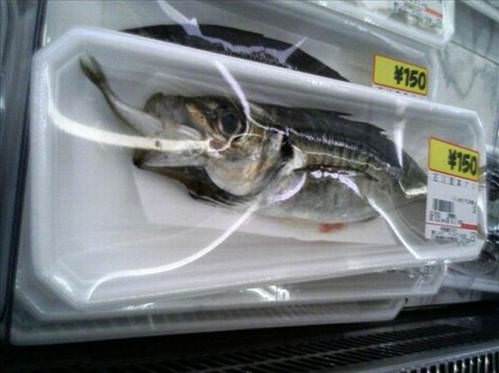 2013'ün en ilginç fotoğrafları