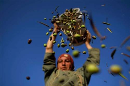 2013'ün en ilginç fotoğrafları