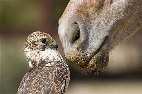 2013'ün en ilginç fotoğrafları