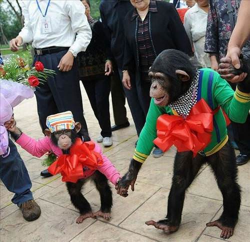 2013'ün en ilginç fotoğrafları