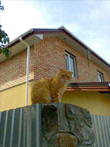 2013'ün en ilginç fotoğrafları