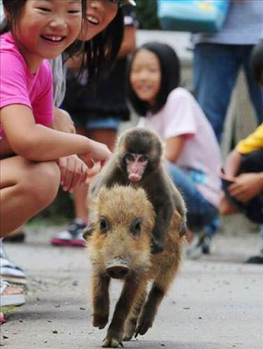 2013'ün en ilginç fotoğrafları