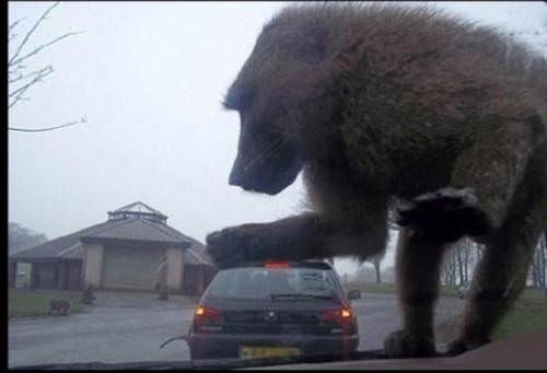 2013'ün en ilginç fotoğrafları