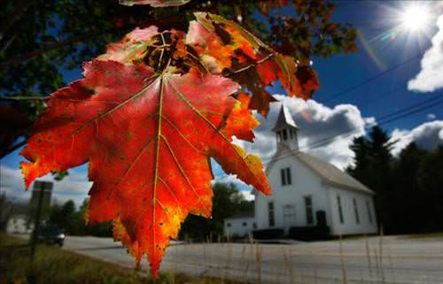 2013'ün en ilginç fotoğrafları