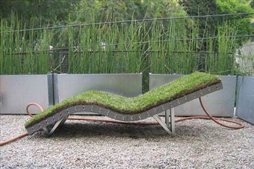 2013'ün en ilginç fotoğrafları