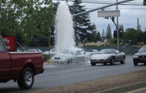 2013'ün en ilginç fotoğrafları