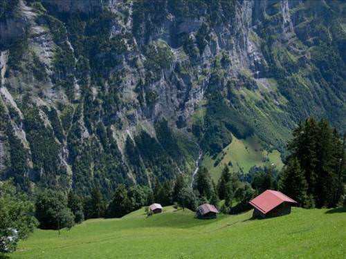 2013'ün en ilginç fotoğrafları