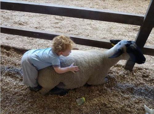 2013'ün en ilginç fotoğrafları