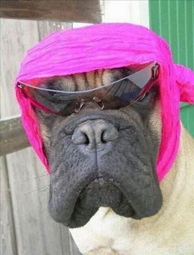 2013'ün en ilginç fotoğrafları