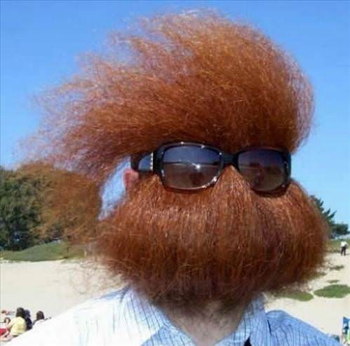 2013'ün en ilginç fotoğrafları