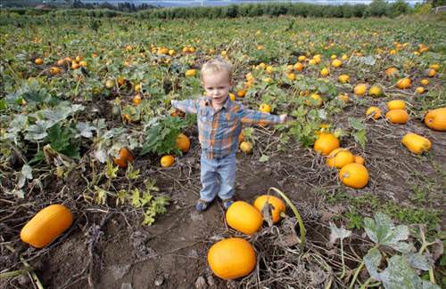 2013'ün en ilginç fotoğrafları