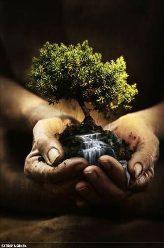 2013'ün en ilginç fotoğrafları